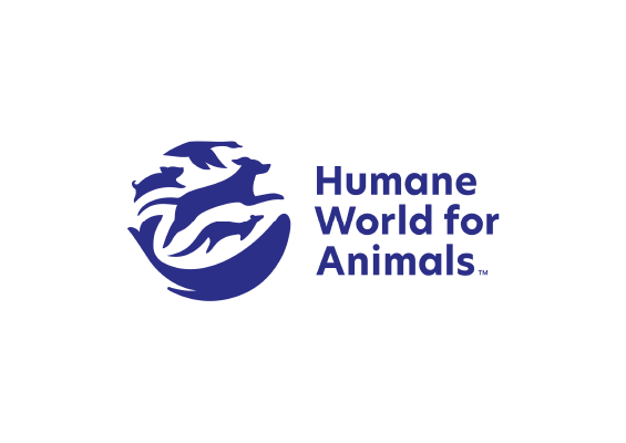 logo3Recurso 29